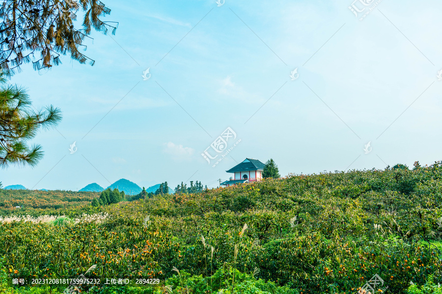 乡村田园旅游风光