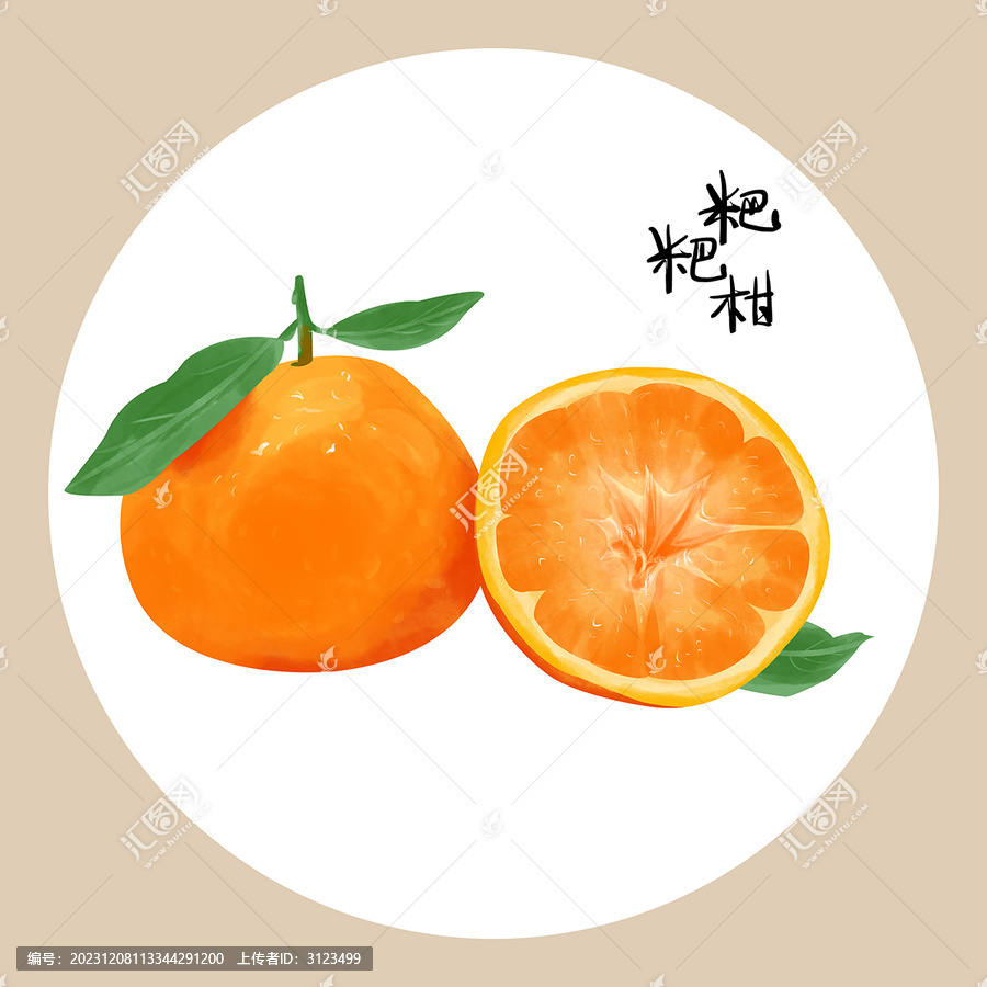 粑粑柑水果插畫
