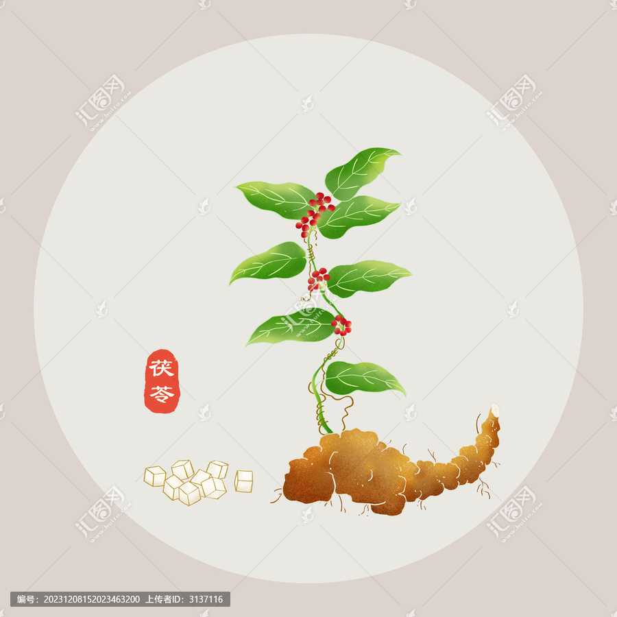 茯苓