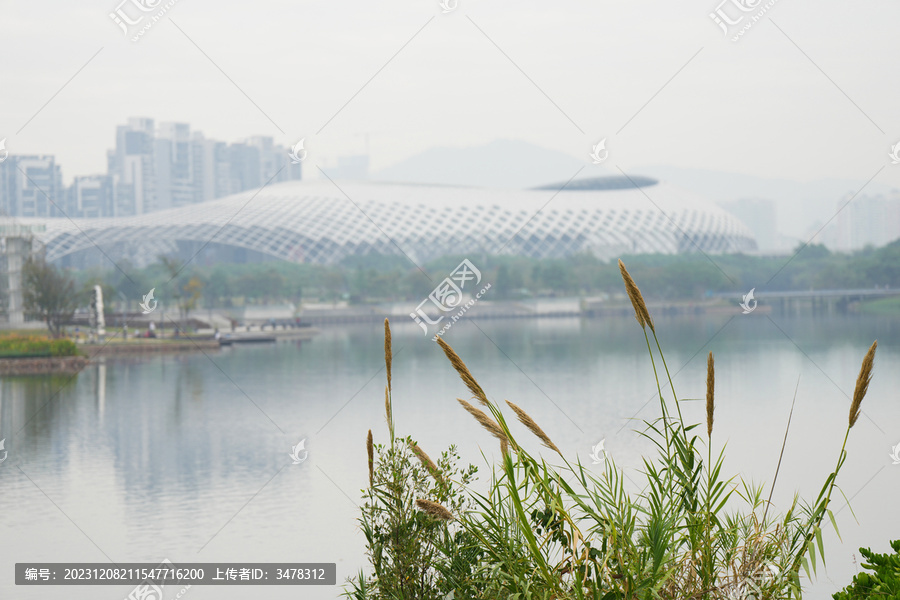 深圳人才公园深圳湾体育中心