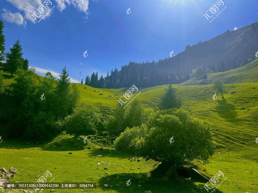 草原风景