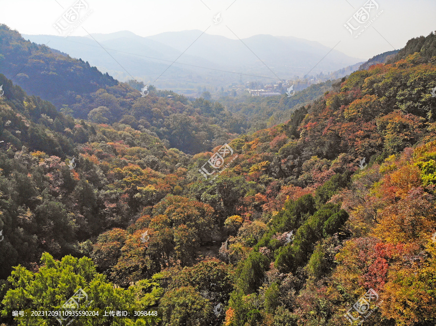 抱犊崮红叶