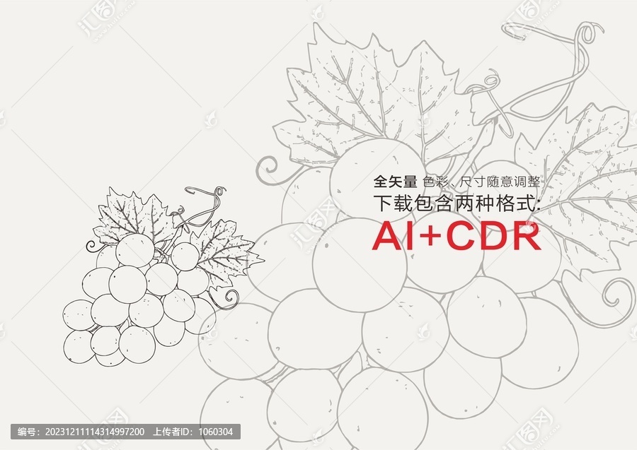 葡萄手繪葡萄插畫
