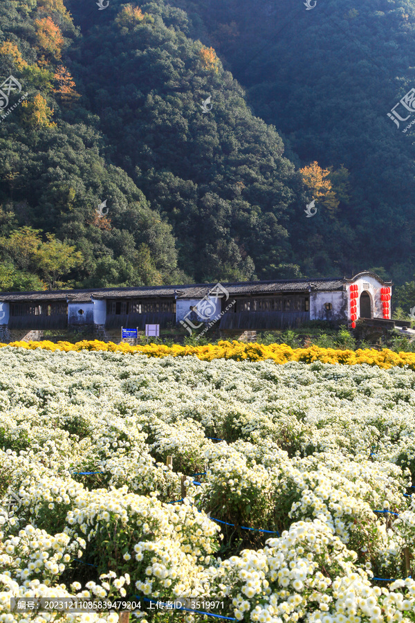 安徽省黄山市休宁县兰田镇拱北桥