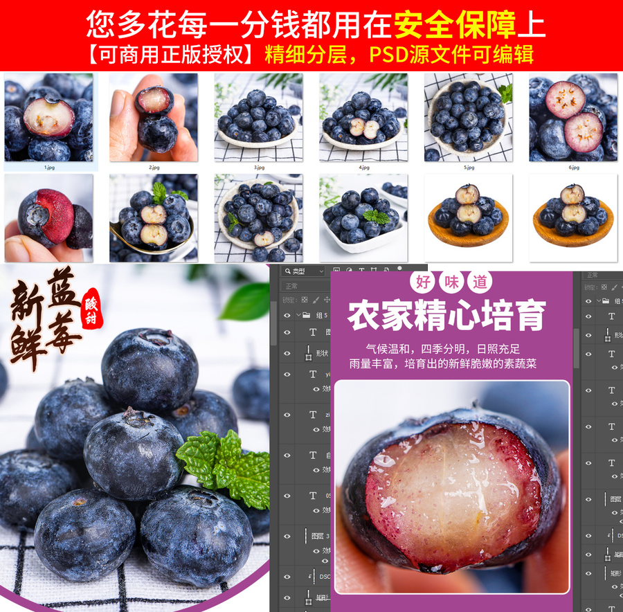 藍(lán)莓詳情頁