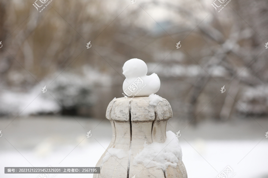 雪景一只小鸭子雪人雪后的湖面