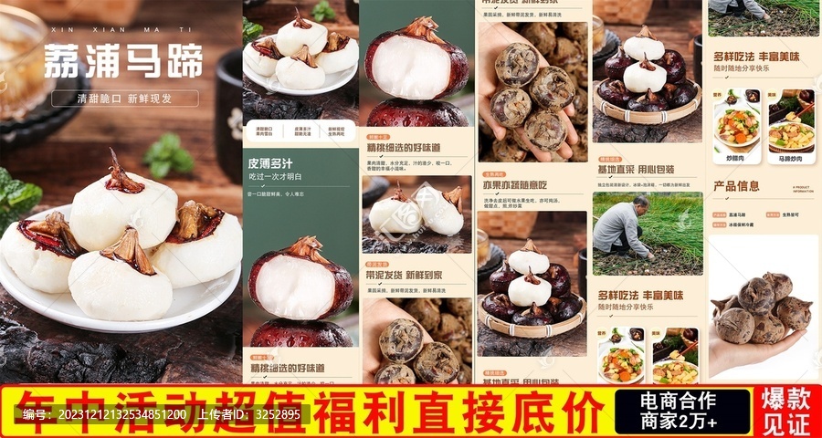 荔浦馬蹄詳情