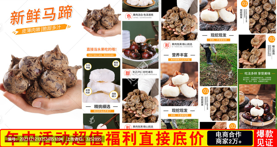 新鮮馬蹄詳情