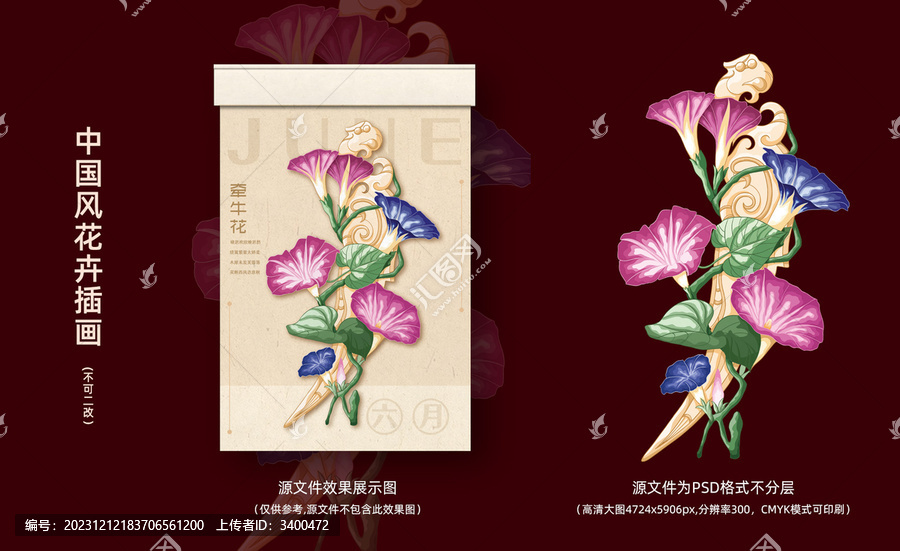 牽牛花原創(chuàng)國(guó)潮花卉插畫(huà)