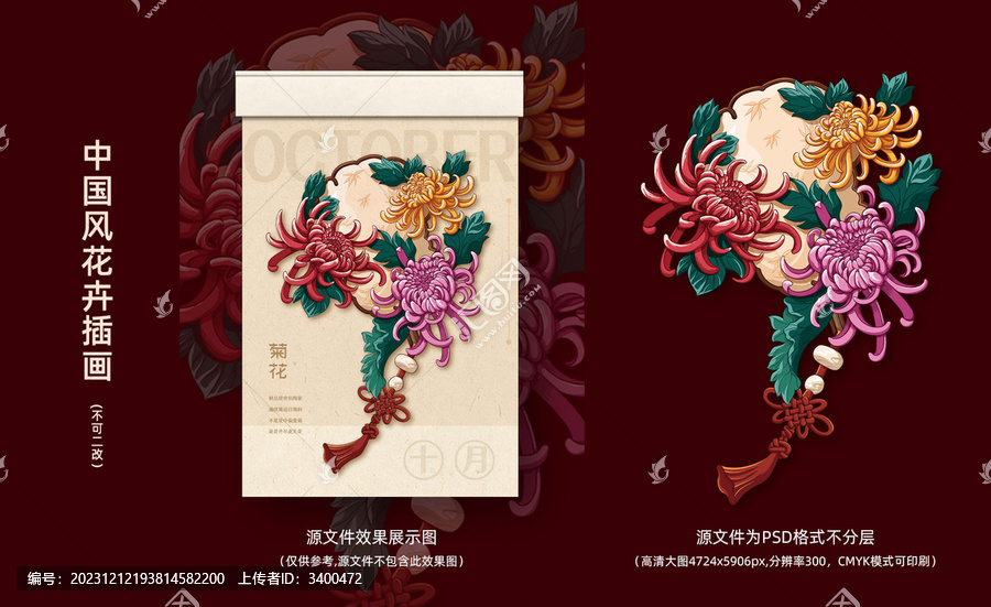 菊花原創(chuàng)國潮花卉插畫