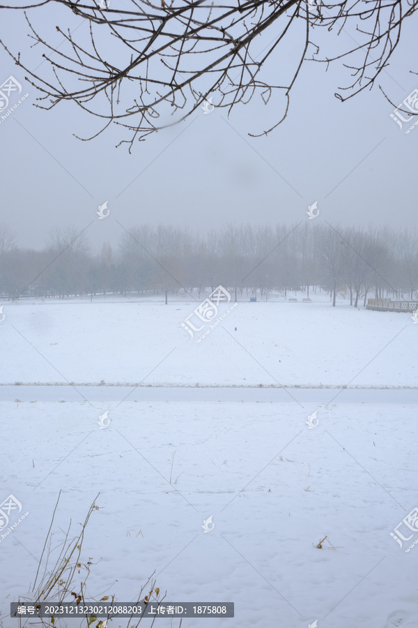 北京奥森雪景