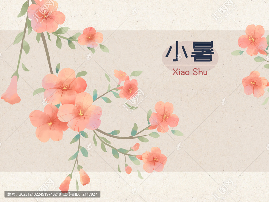 國風(fēng)手繪二十四節(jié)氣小暑凌霄花