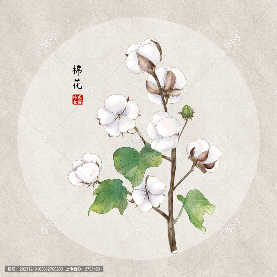 棉花