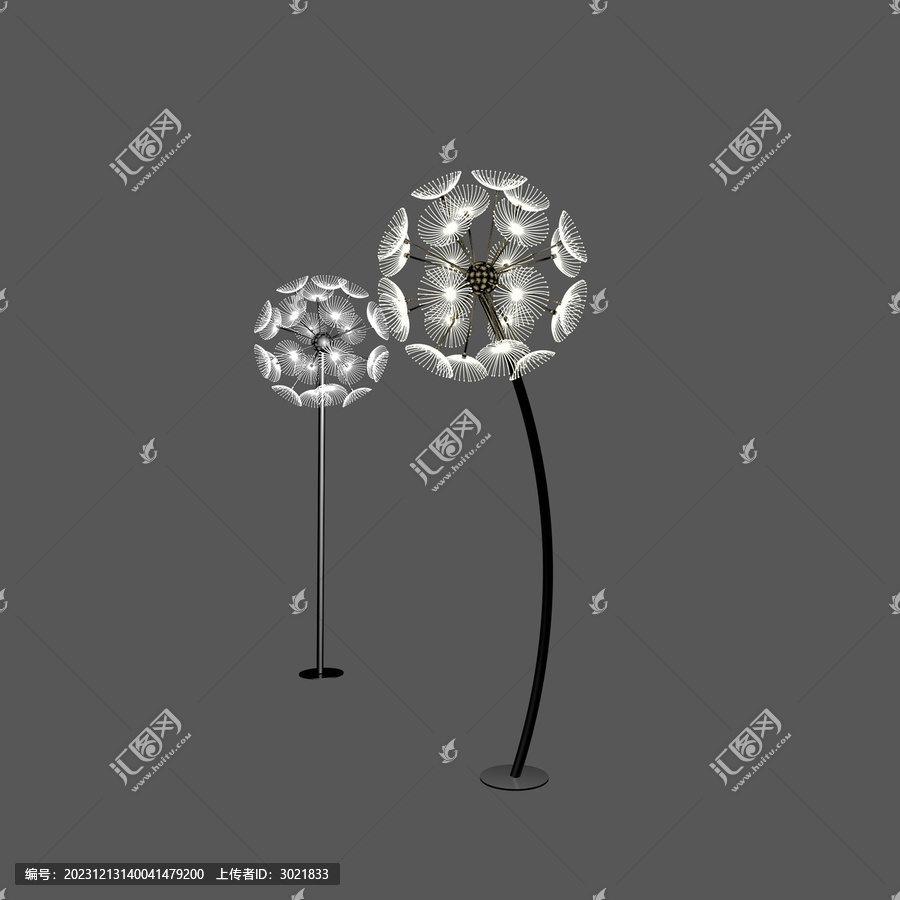 蒲公英暖光