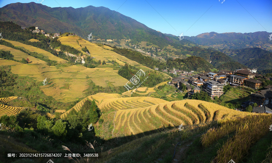 10月的龙胜梯田