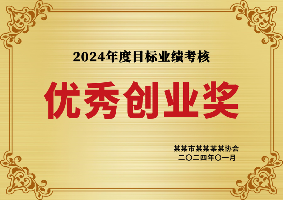 金色優(yōu)秀創(chuàng)業(yè)獎榮譽獎牌銅牌牌匾