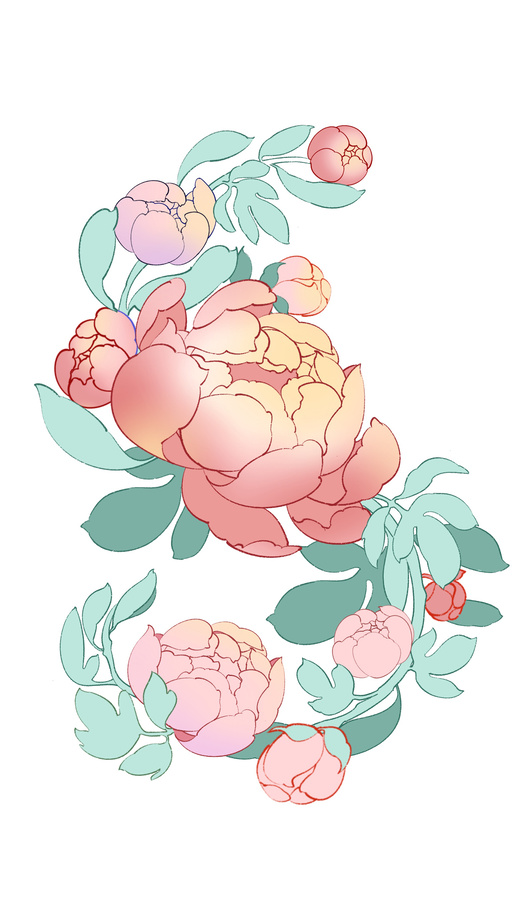 芍藥花
