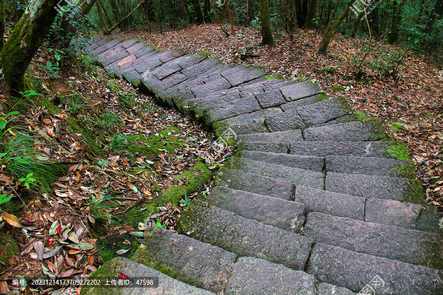 武夷山登山石板路