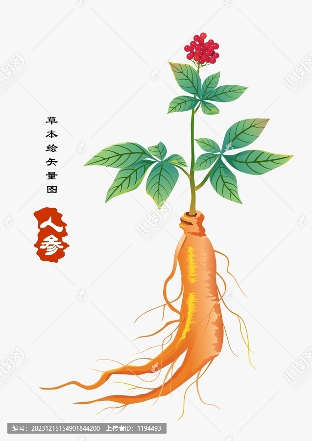 人參