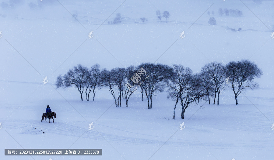 坝上雪景