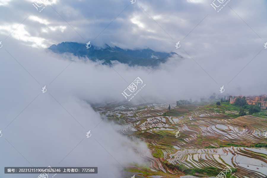 云南元阳梯田的风景