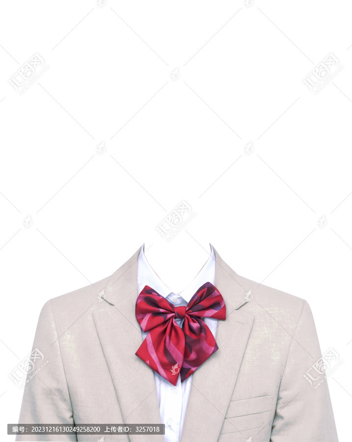 女士西裝領(lǐng)花素材