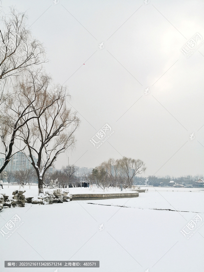 雪景