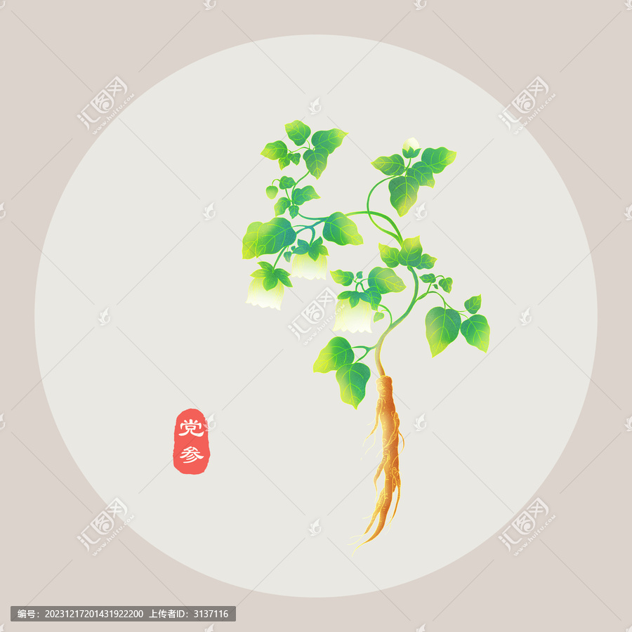 黨參