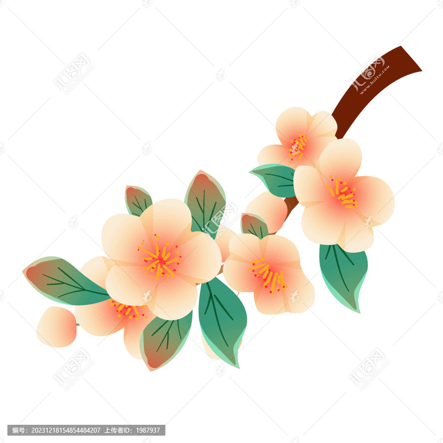 矢量手繪桃花葉子裝飾元素