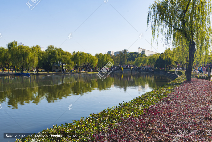 上海大学