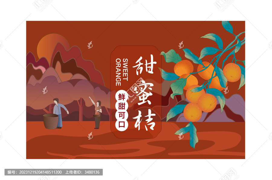 桔子插畫
