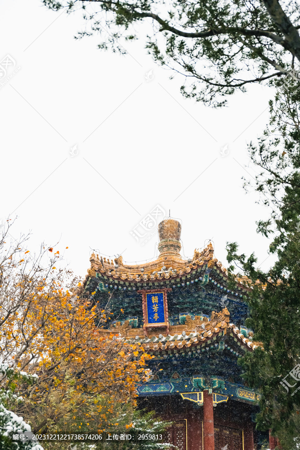 北京古建雪景故宫冬季雪景