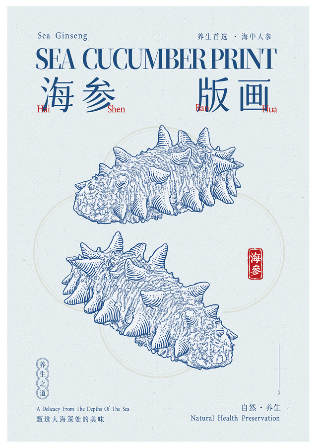 海參插畫
