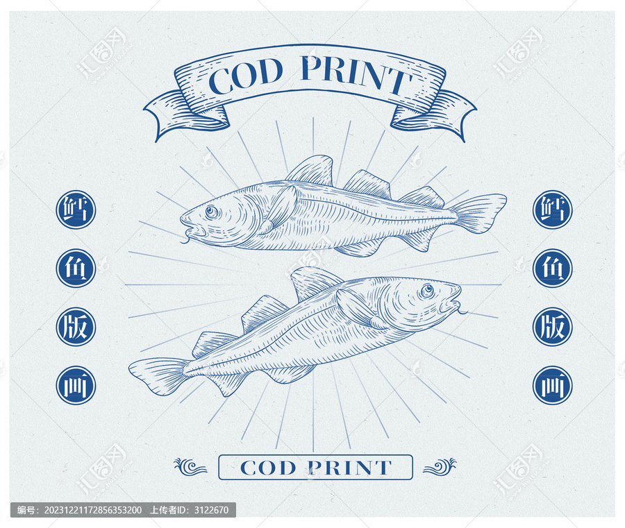 鱈魚插畫