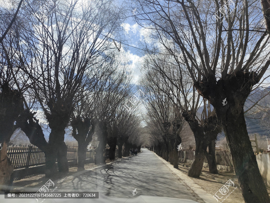 雅鲁藏布大峡谷雪山