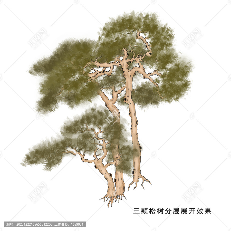 手繪松樹