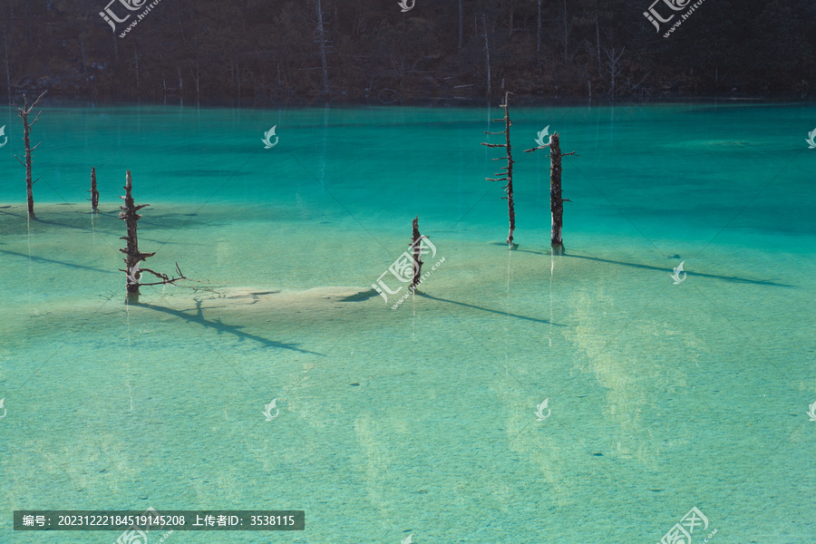 蓝月谷湖水枯树