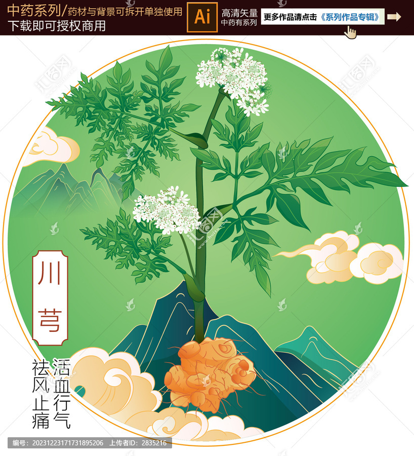 川芎
