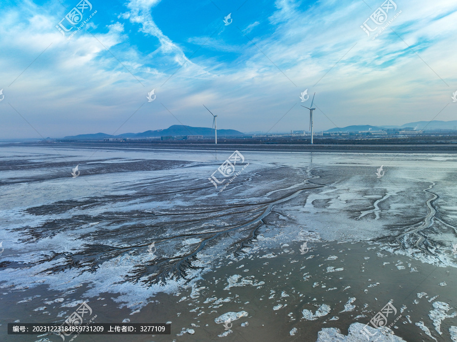 嘉兴海宁航拍下的冰雪潮汐树