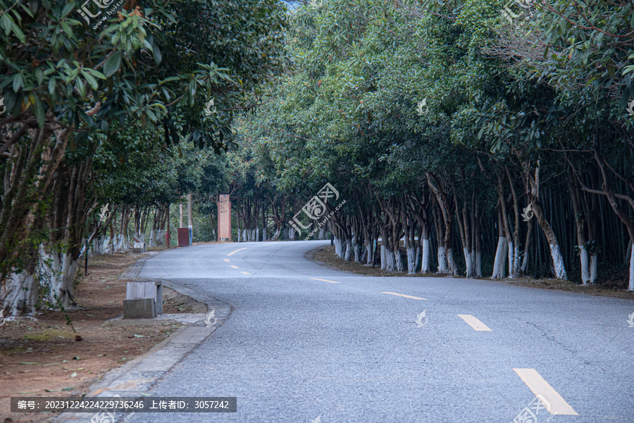 乡间小路