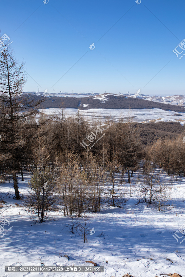 北方雪岭