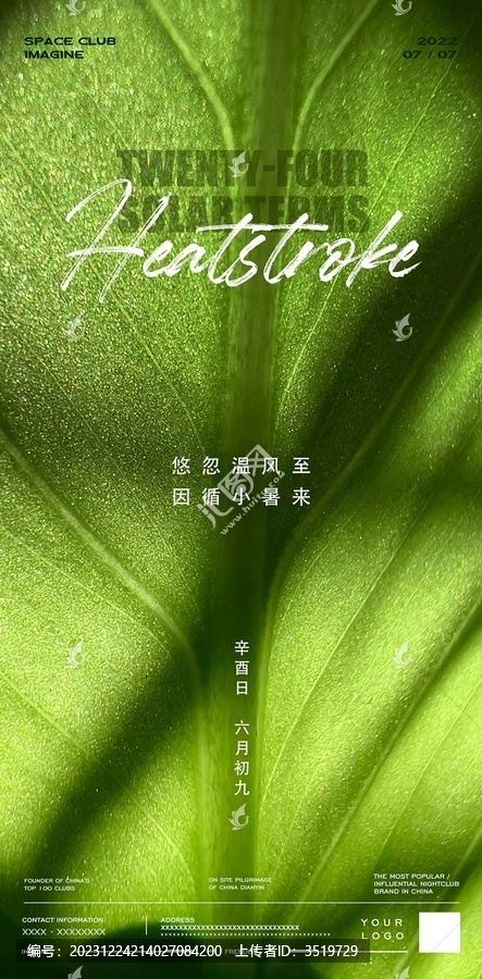 小暑夏天大暑立夏葉子綠葉酒吧