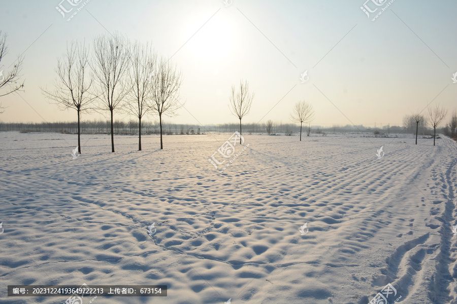 雪原