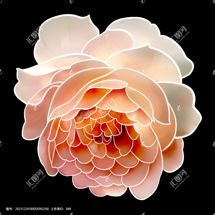 花卉圖案
