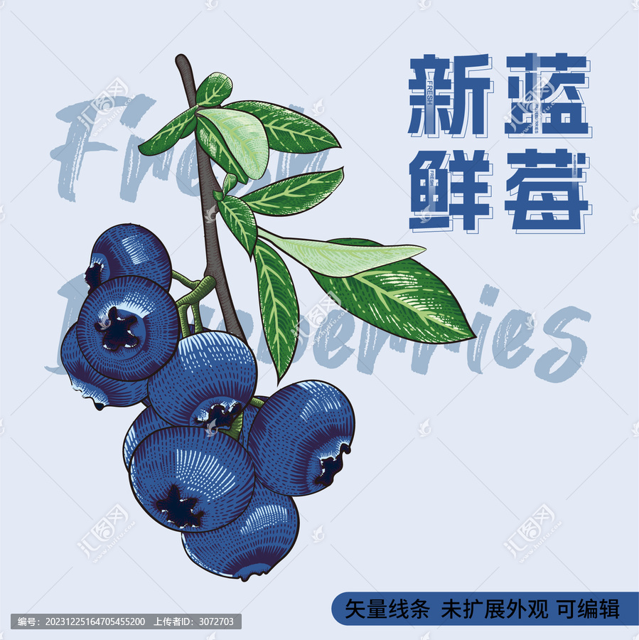 復(fù)古版畫風(fēng)格水果包裝矢量插畫