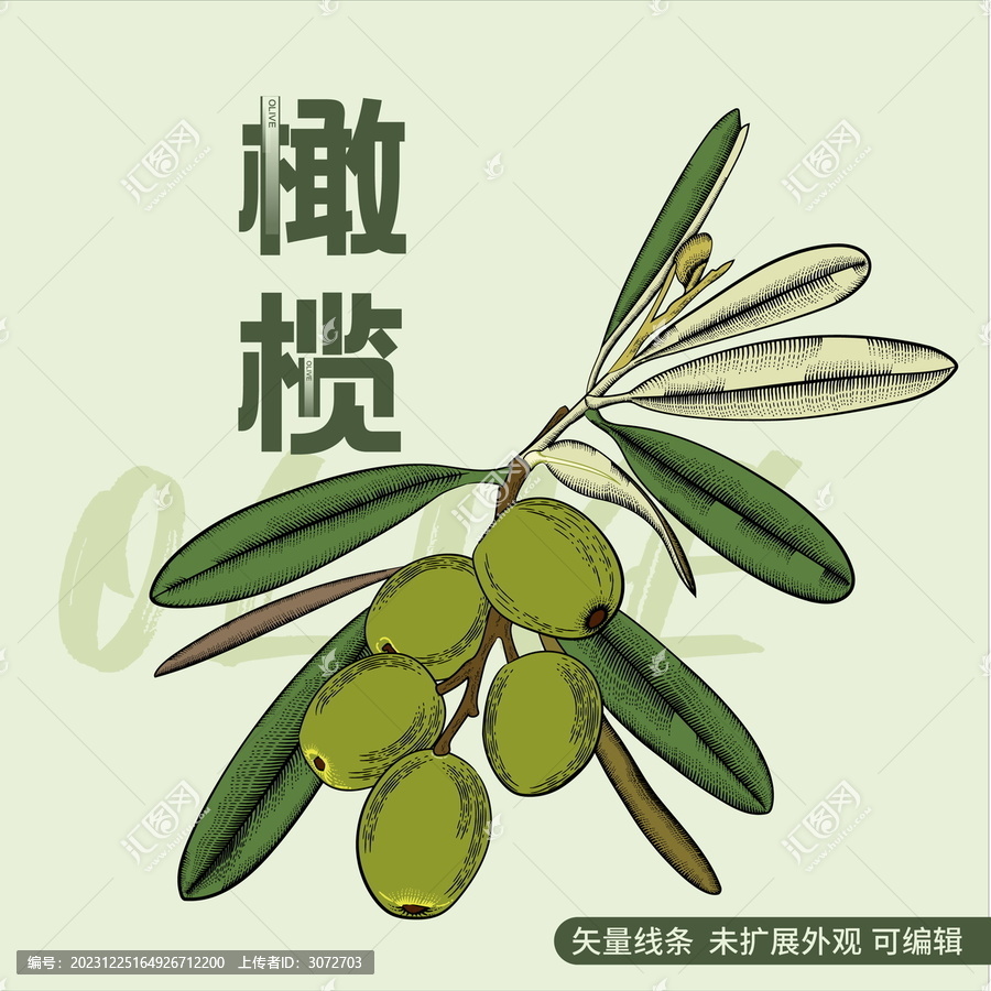 復古版畫風格水果包裝矢量插畫