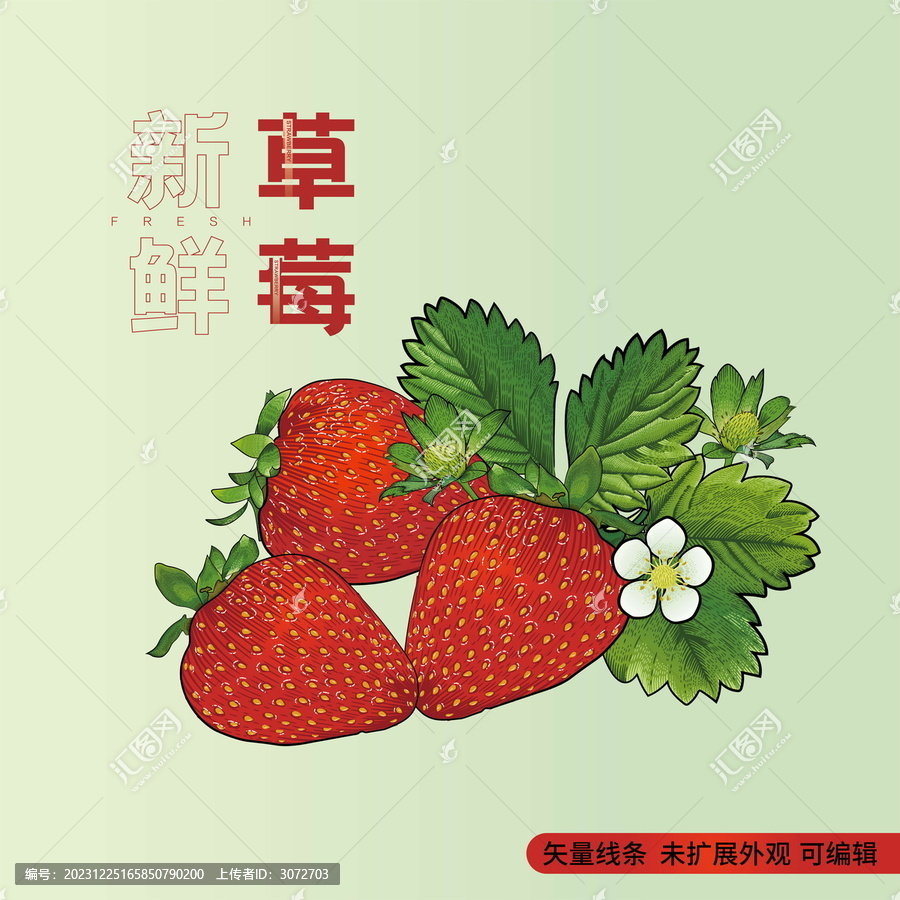 復(fù)古版畫風(fēng)格水果包裝矢量插畫