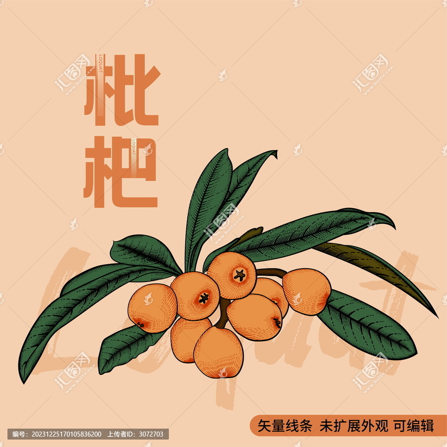 復古版畫風格水果包裝矢量插畫