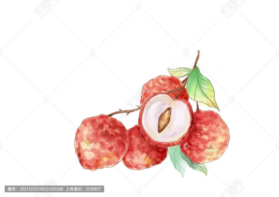 荔枝水彩插畫