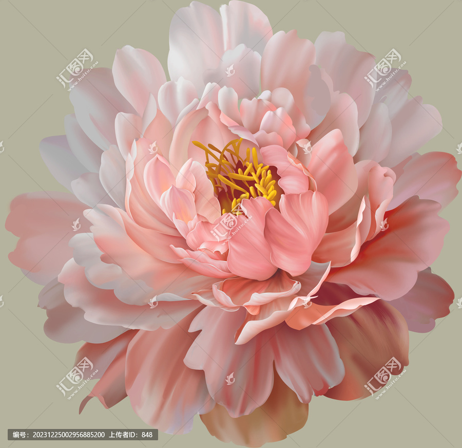 大花